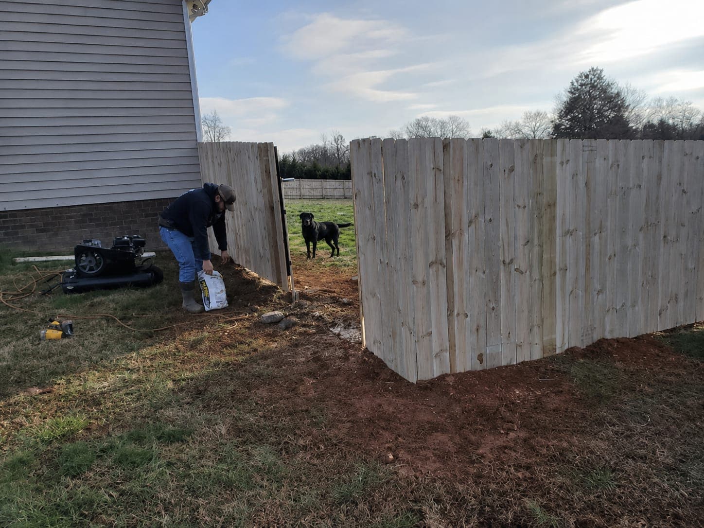 Sands Fence Co. installer setting a new wood privacy fence in a backyard while a black Labrador watches from the gate opening