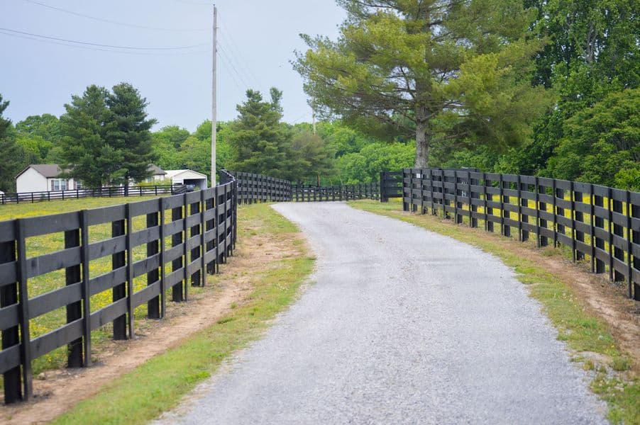 A black four-board fence lining both sides of a gravel drive through a wildflower pasture