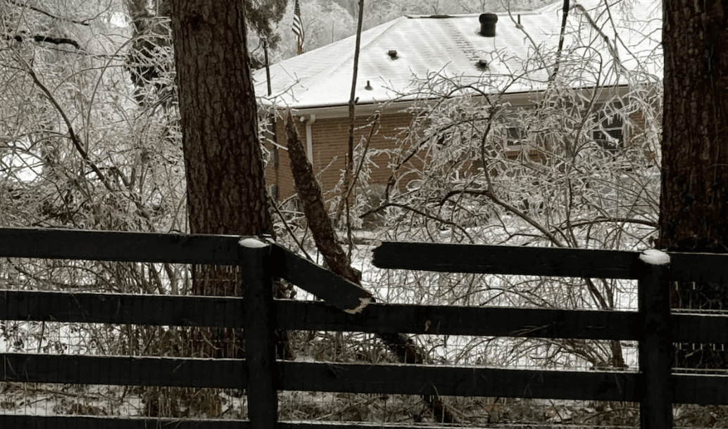 Fence Repair