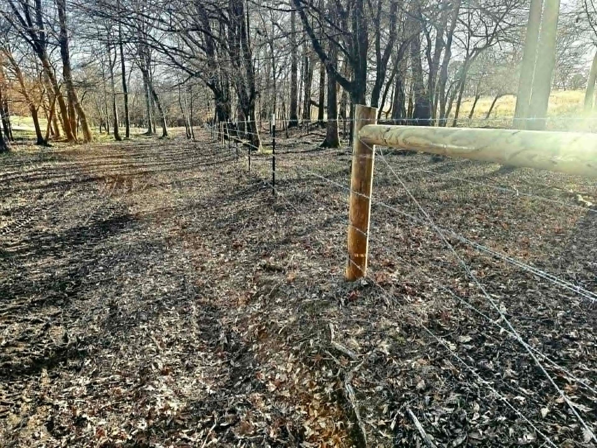 Barbed Wire Fencing