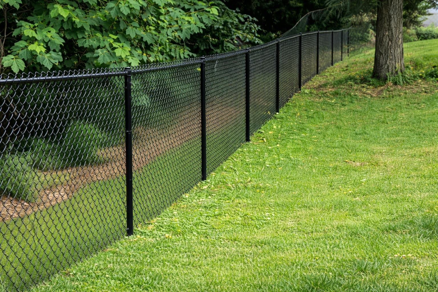 Chain Link Fence