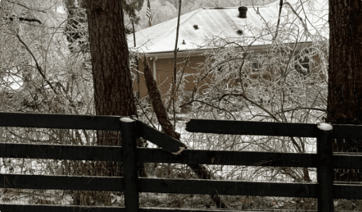 A black board fence with a tree branch down across it after an ice storm