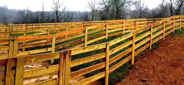 Photo of metal gate with metal electric fence framed with wood posts and rails