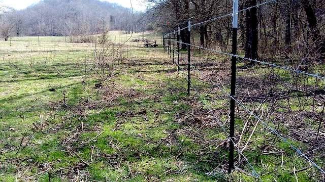 Photo of 4 wire high barb wire and metal post fencing in a very rural isolated farm area