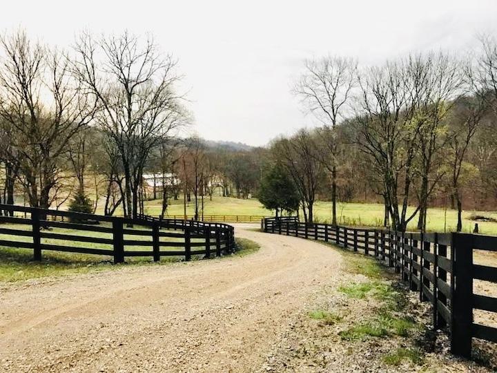 Photo of wood slat fence with mesh wire. The fence protects a property along a roadway