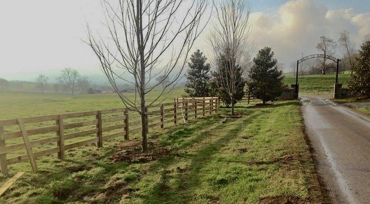 Photo of driveway with wood fence on either side. The fence is a wood fence with two horizontal slats and an upper "x style" slat.