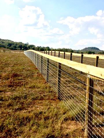 Photo of wood slat fence with mesh wire. The fence protects a property along a roadway